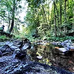Harz Iris 4* Herzberg am Harz
