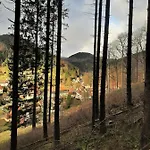 Harz Iris