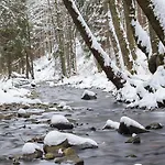 Harz Iris Vendégház