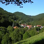 Harz Iris
