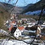 Harz Iris