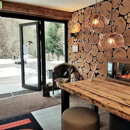 Harz Hotel Iris Guest house