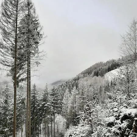 Pensionat Harz Iris