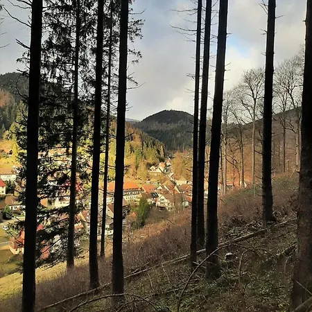 Harz Iris