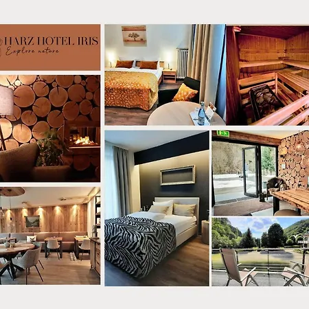 Guest house Harz Hotel Iris
