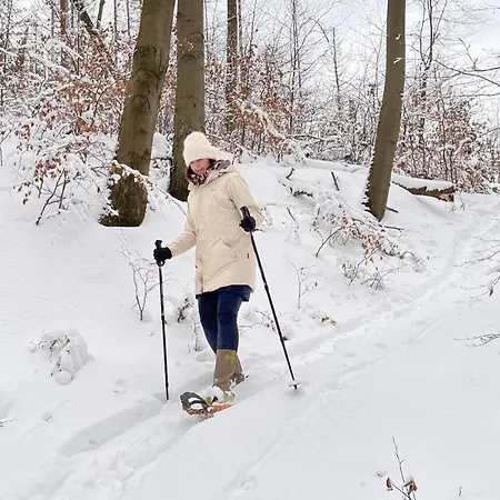 Harz Iris Penzion 4*
