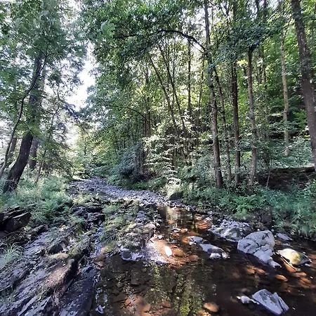 Harz Iris Gæstehus 4*