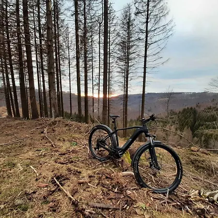 Harz Iris Gæstehus 4*