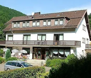 Harz Iris Sieber
