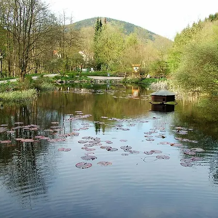 Harz Iris Гостевой дом Sieber