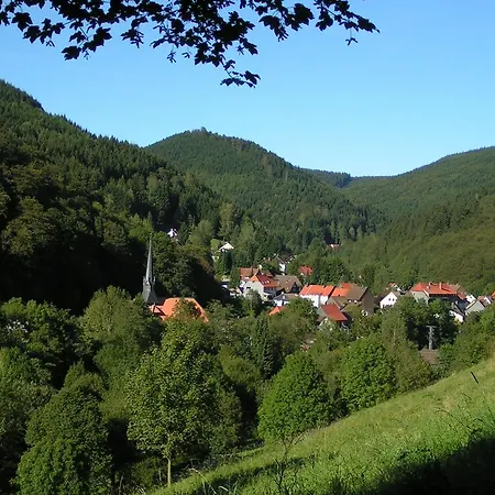Guest house Harz Hotel Iris